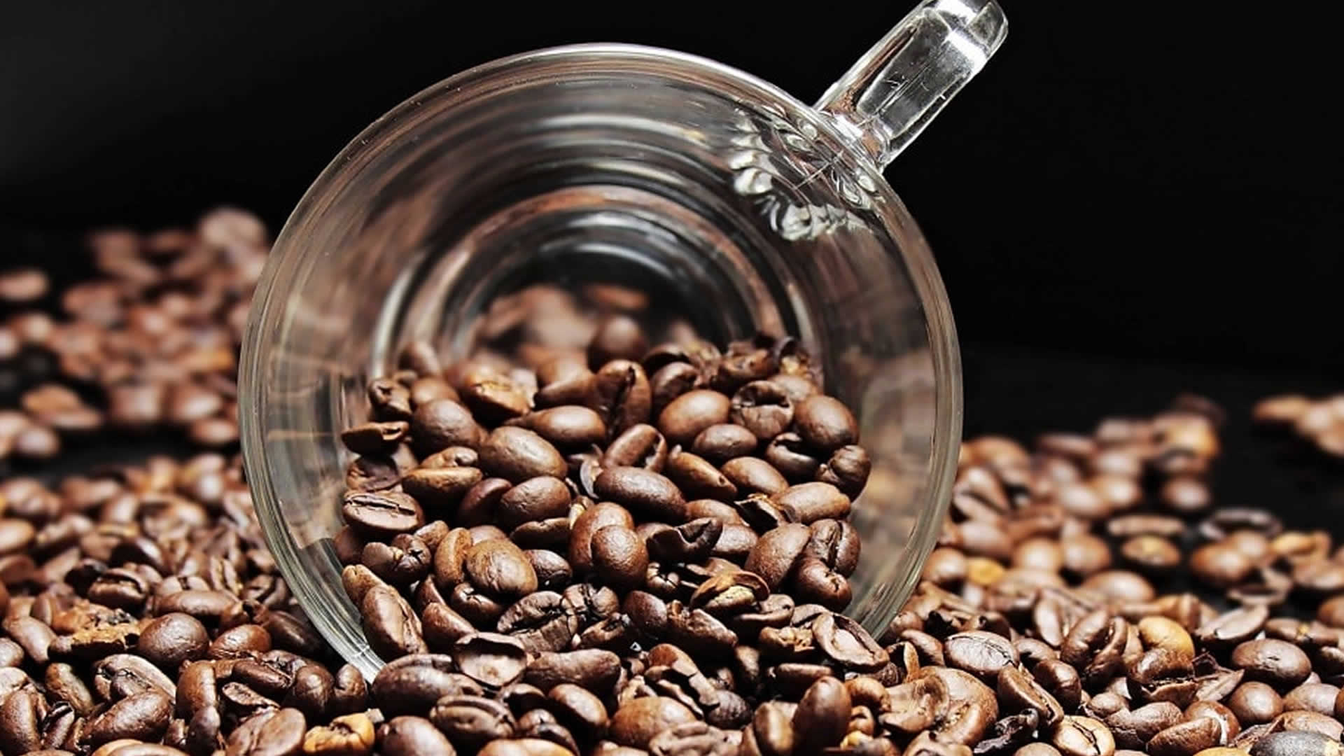 Café Araita